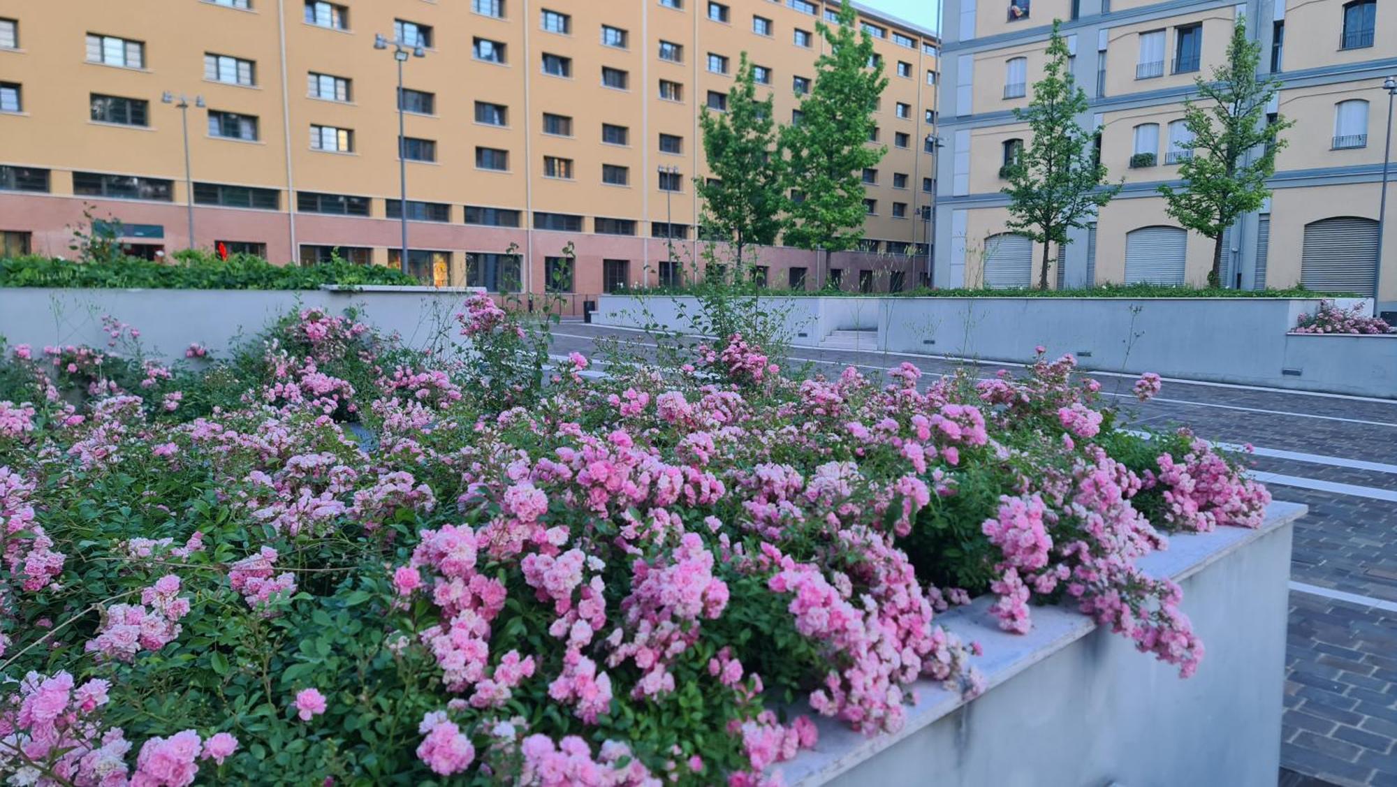 Milan Space Loft - Apartment Close To M5 Subway - Free Parking - Sky & Netflix Tv Εξωτερικό φωτογραφία